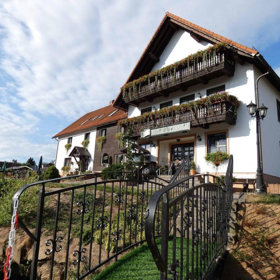 Hotel-Pension Flechsig Hartmannsdorf bei Kirchberg Экстерьер фото
