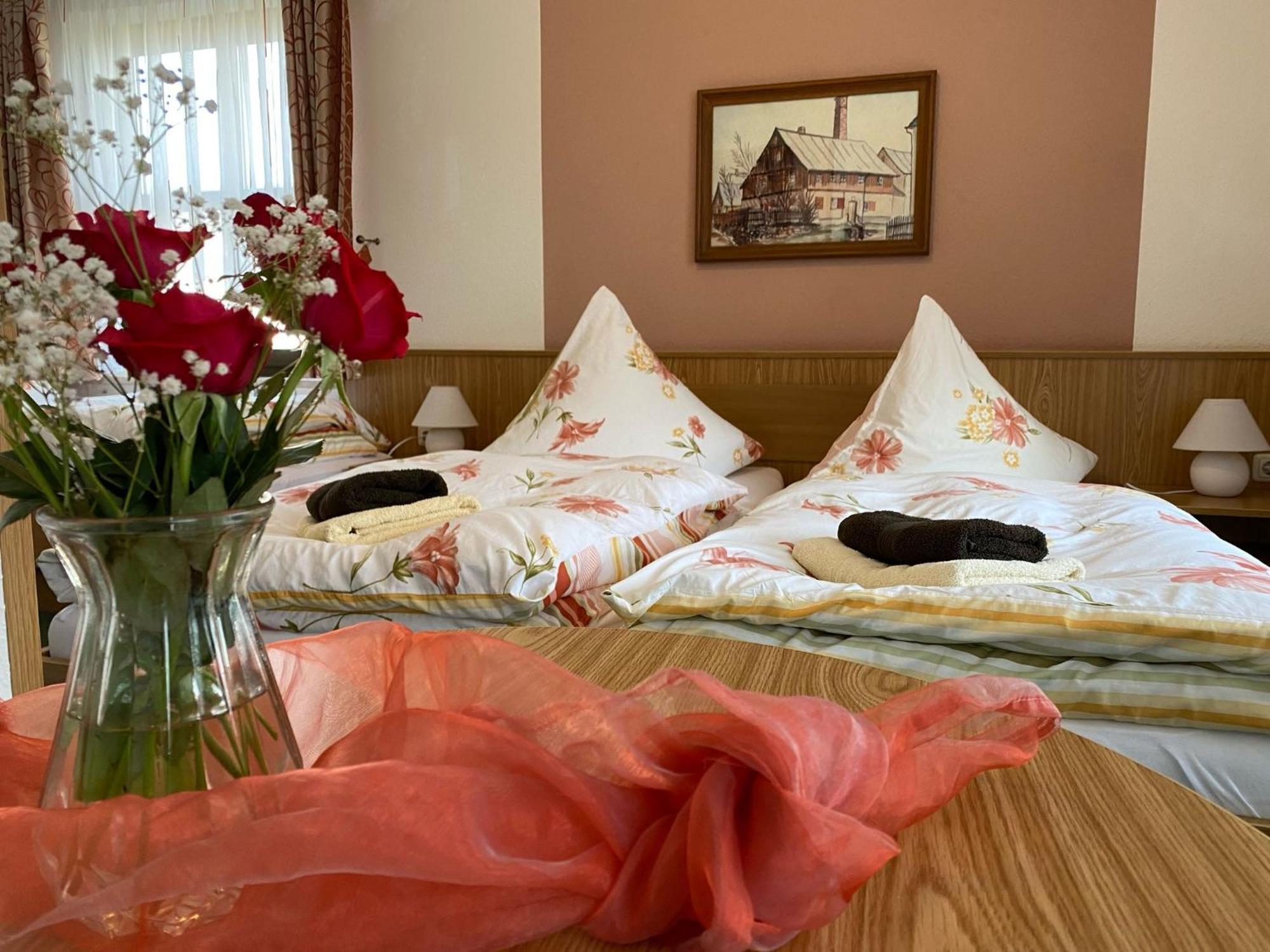 Hotel-Pension Flechsig Hartmannsdorf bei Kirchberg Экстерьер фото